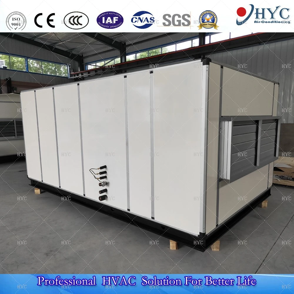 Heat Recovery Fresh Air Handling Unit/Ahu/Combined Air Conditioner Cooling System