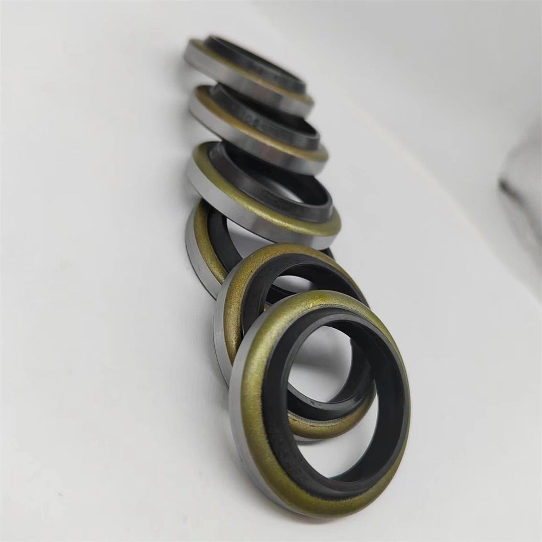 High Pressure Resistant Iron Shell Hydraulic Metal Skeleton Oil Seal Dkb Piston Rod Dust-Proof NBR Sealing Ring