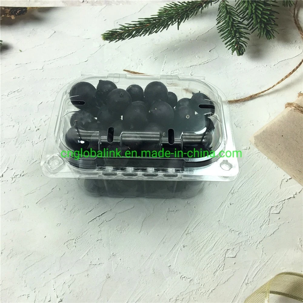 Disposable Plastic Blister Clamshells Fruit Packing Punnets Tomatoes 250 Grams Plastic Packaging