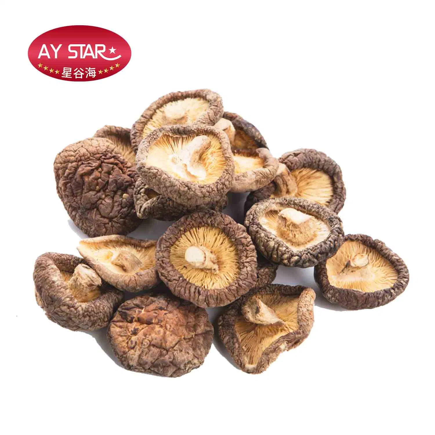 Nourriture sèche Lentinus edodes chinois de champignons shiitake séchés ensemble en vrac