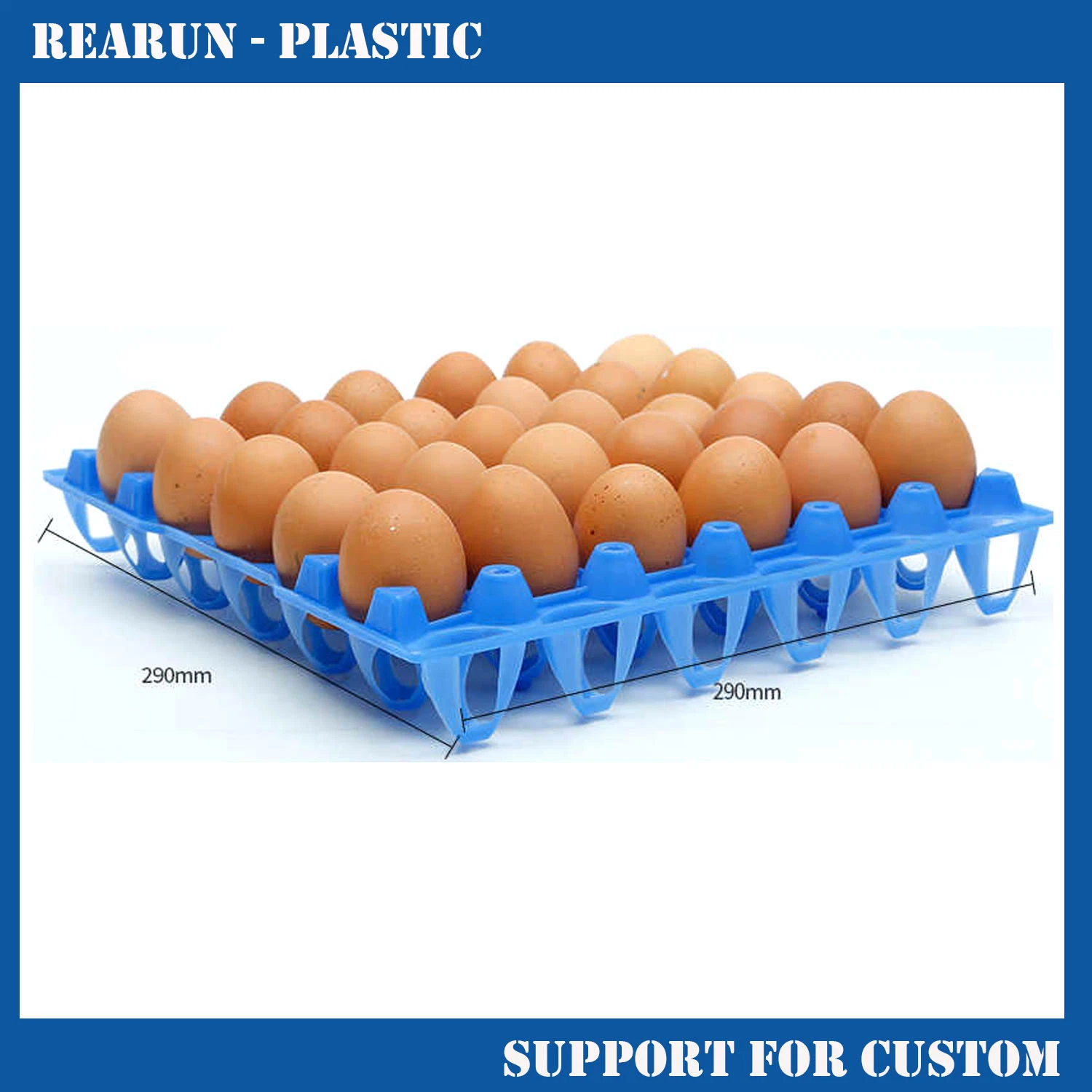 Plastic Egg Tray 30 Holes Hatching Chicken Egg Tray for Incubator