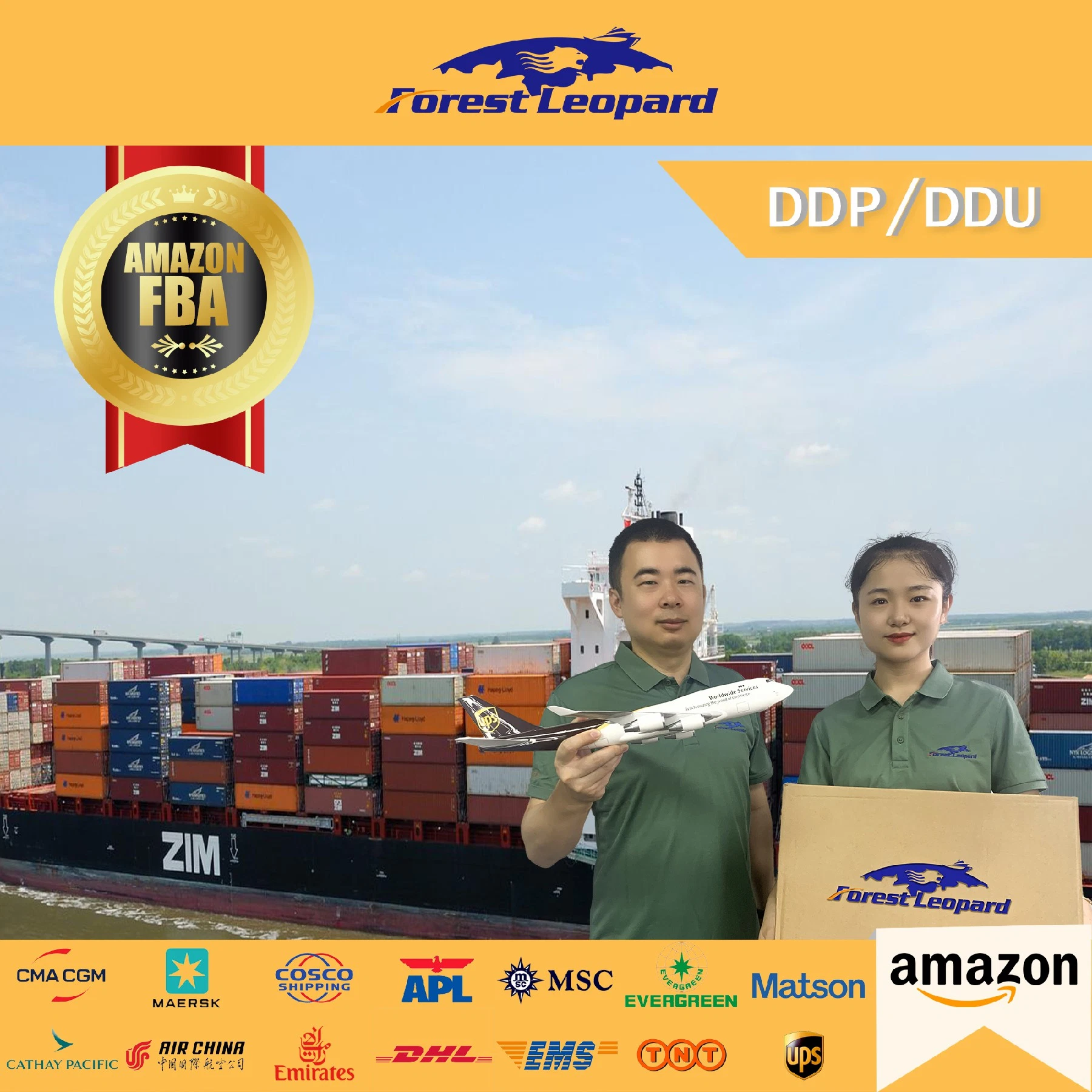 Frais d'adresses personnels/USA de haute qualité d'expédition transitaire à bas prix entreprise de logistique de Shenzhen expédition aux USA par la mer