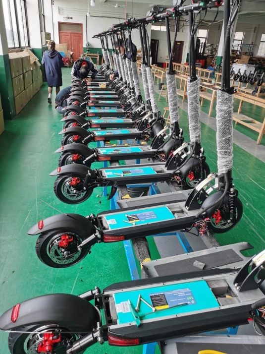 48V 800W de 10 pulgadas de largo alcance a dos ruedas Scooter de movilidad eléctrica China Wholesale/Supplier