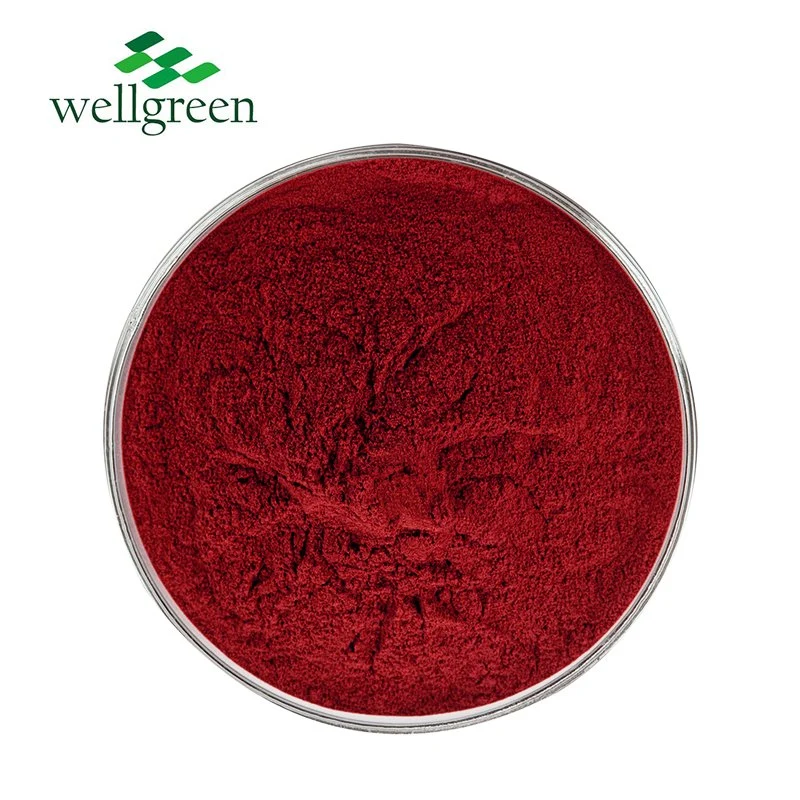 Tomato Extract Powder Organic Lycopene 10% Red Powder