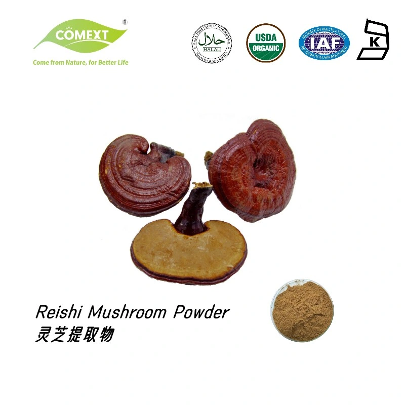 Comext Free Samples Ganoderma Lucidum Reishi Mushroom Extract Powder