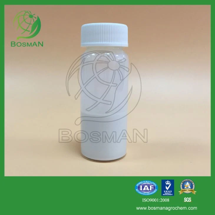 Alimentación Bosman insecticidas imidacloprid 97%70%TC, WP, WDG 70%20%SL ,350g/L SC, 600g/L de FS