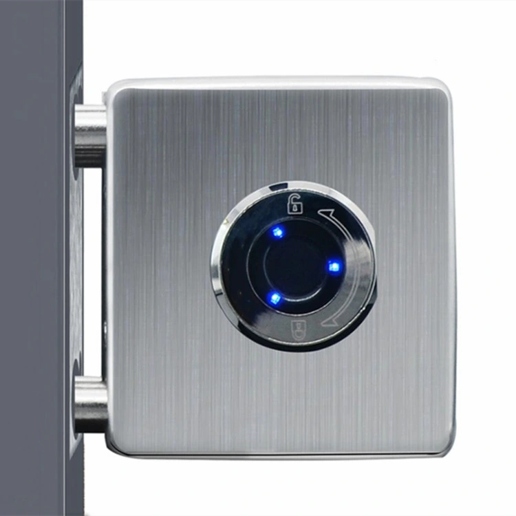 Safe Electronic Fingerprint Stainless Steel Glass Door Smart Lock Hardware