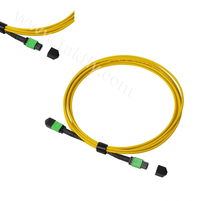 12/24 Cores MPO MTP Sm Om3 Om4 Om5 Fiber Optic MPO Fiber Cable