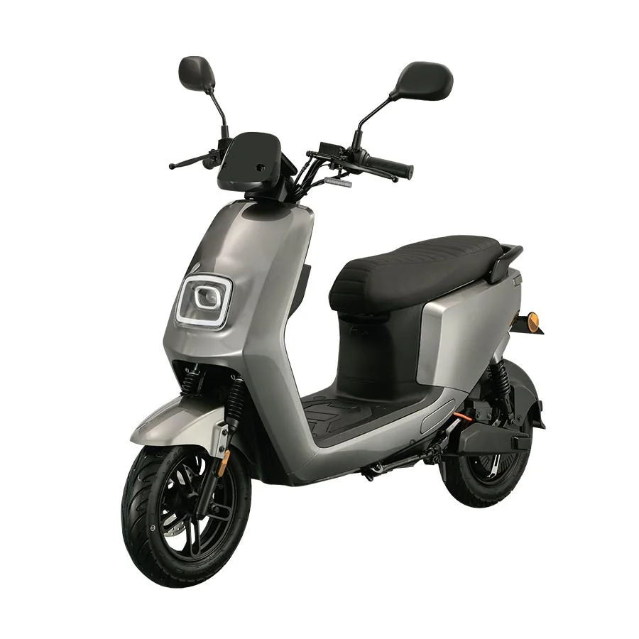 EEC Coc Classic Vintage High Quality Scooter Electric Motorcycle Escooters for Adult