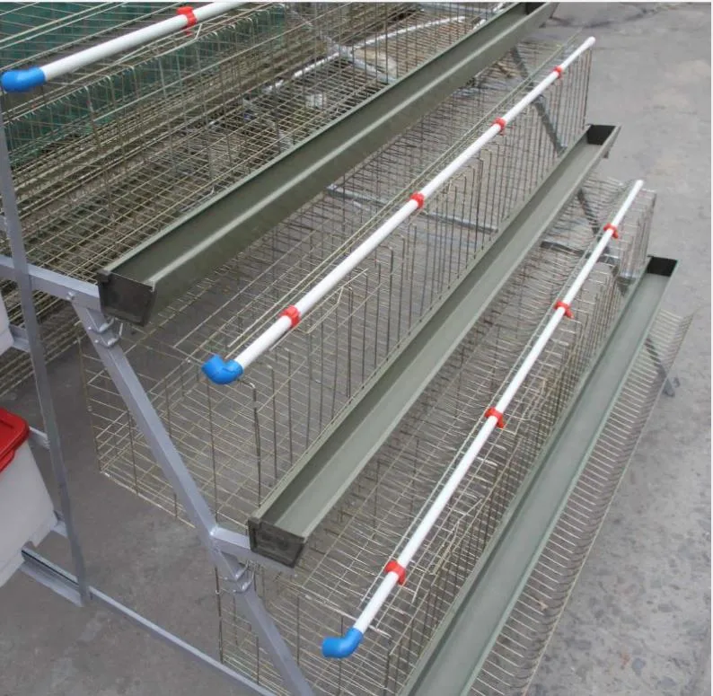 Poultry Farm Equipment Chicken Cage Automatic or Semi-Automatic