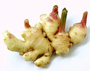 Plant Extract Ginger Extract Gingerols Effective for Blood Circulation