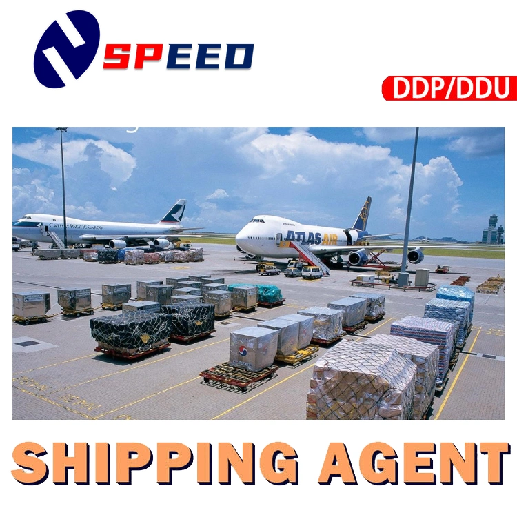 Cheapest Sea Freight Forwarder From China to USA Canada Mexico Cargo Services