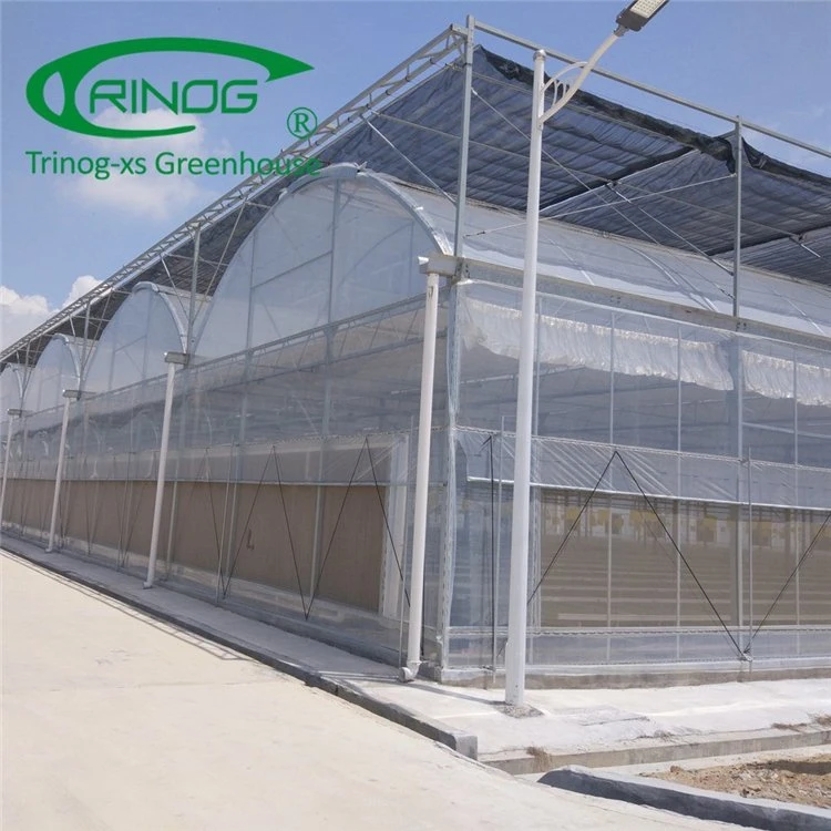 Intelligent Multi-Functional Film Greenhouse for Vegetable