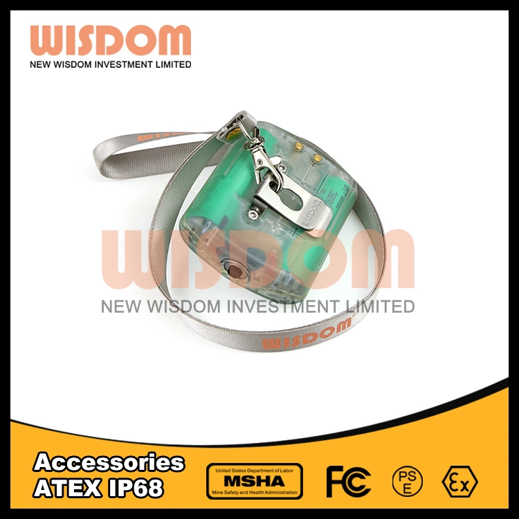 New Wisdom Fashion Belt for Hanging Lamp