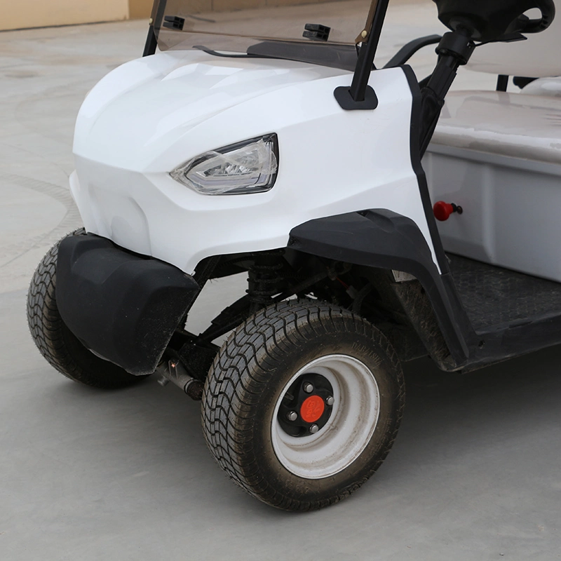 Course, Zone touristique, Villa, Parc d'attractions 4 Passagers Chariot de golf buggy.