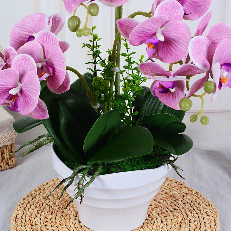 Arrangement de la vente en gros d'usine Usine Fleur d'Orchidée Bonsai rose blanc fleur papillon d'Orchidée tactile réel