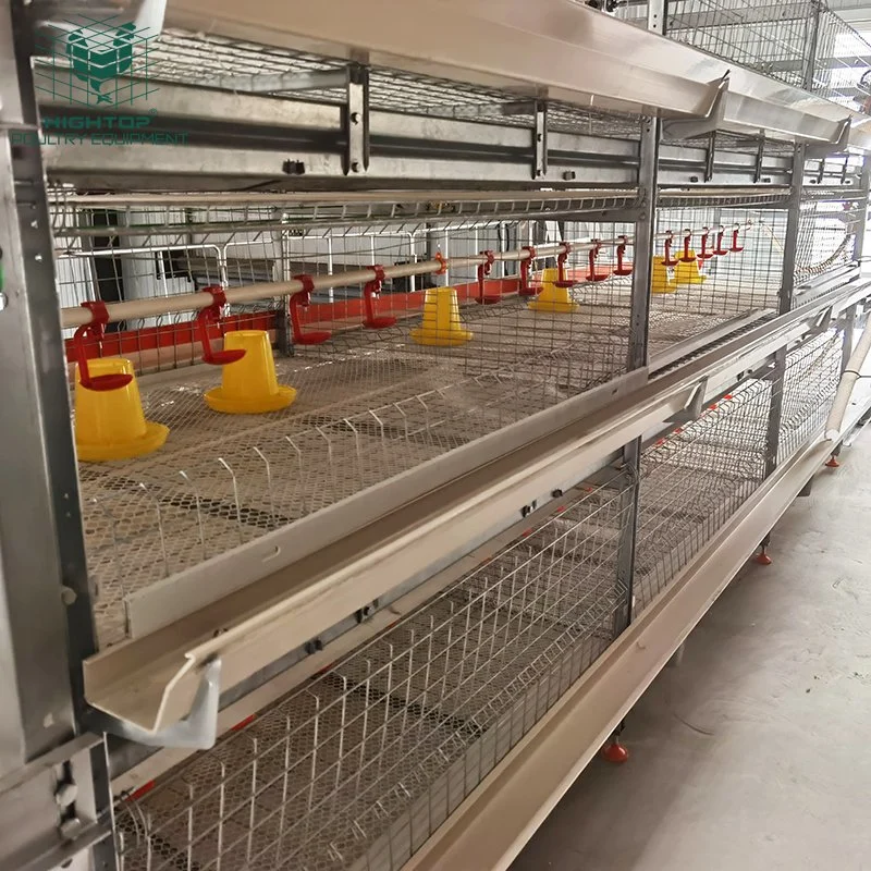 Quality Poultry Farming 3 Tier H Frame Egg Layer Chicken Battery Broiler Cage for Sale