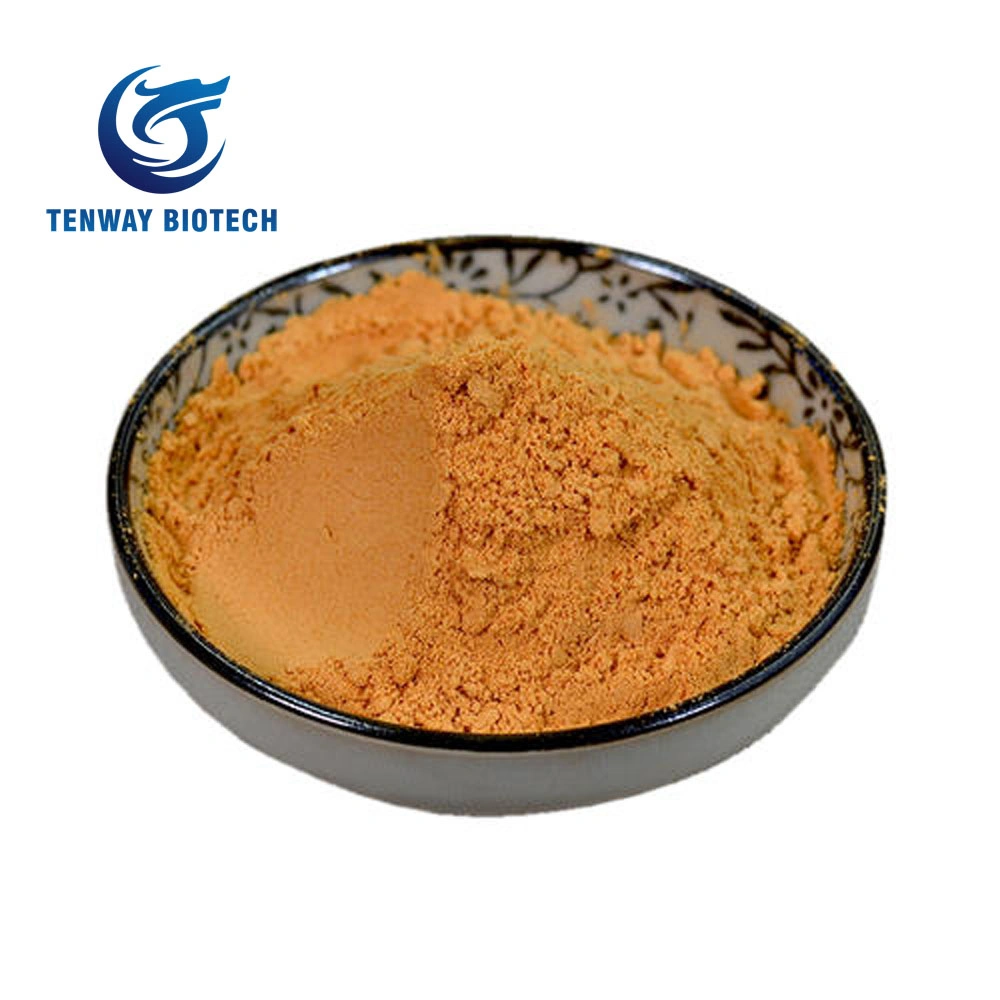 Factory Supply High Quality Tomato Juice Powder, Tomato Ketchup Powder