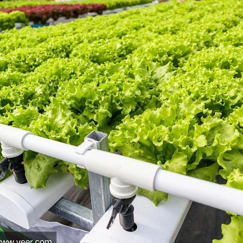 La nueva agricultura inteligente sistema de efecto invernadero Hidroponía Vertical Farm