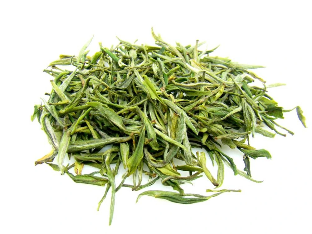 Supply Natural EGCG 50% From Green Tea Extract