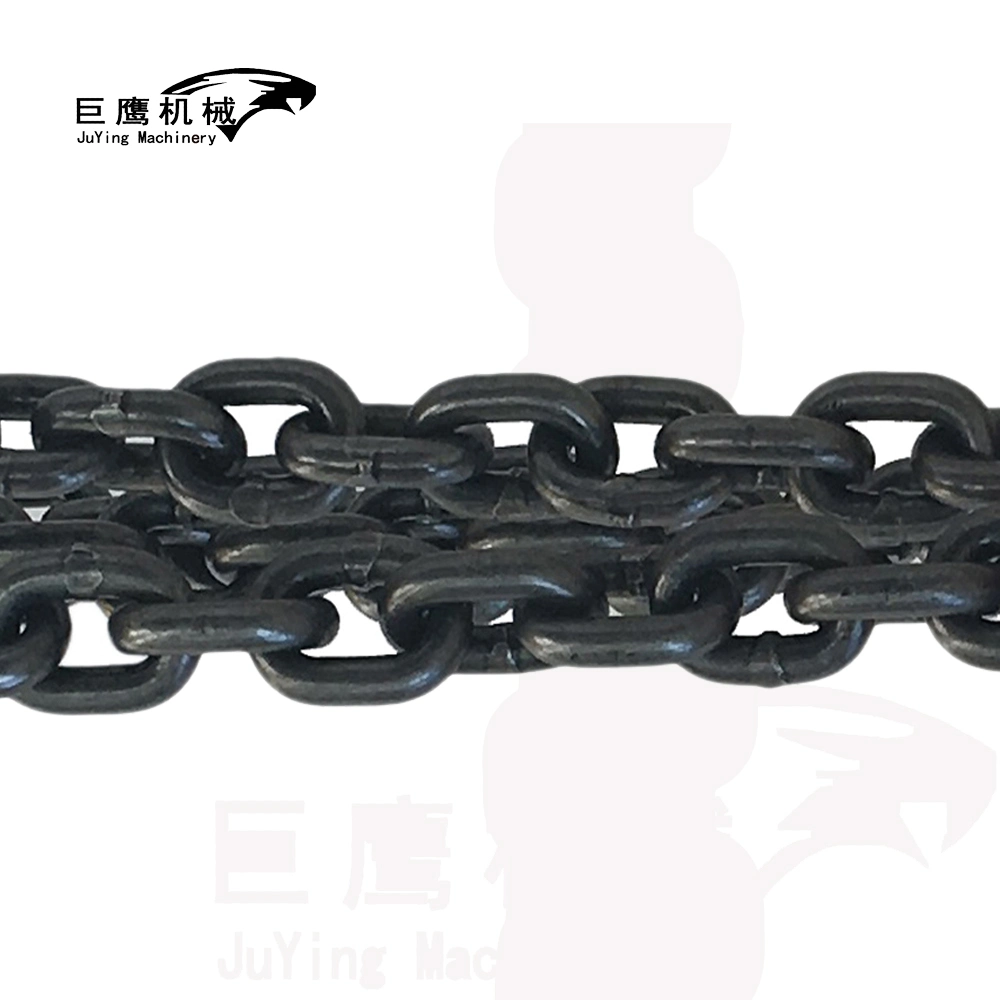 China Manufacturer G80 Industrial Chain Black Color