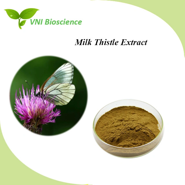 ISO Certified 100% Natural Milk Thistle Extract