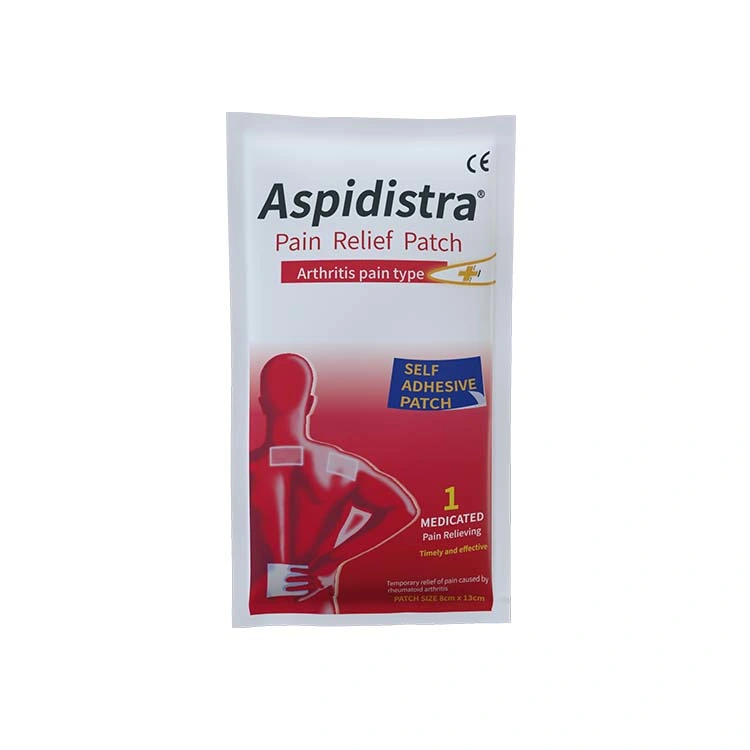 Muestras gratuitas efecto rápido Artritis herbal China alivio del dolor articular Parche