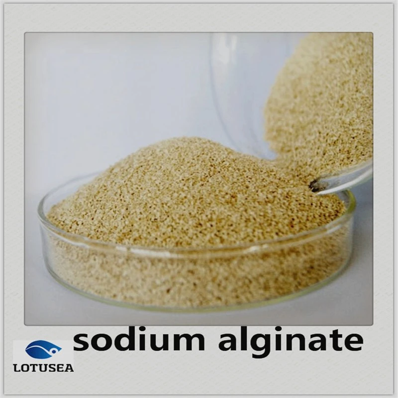 Sodium Alginate 100mesh 800cps for Textile Use