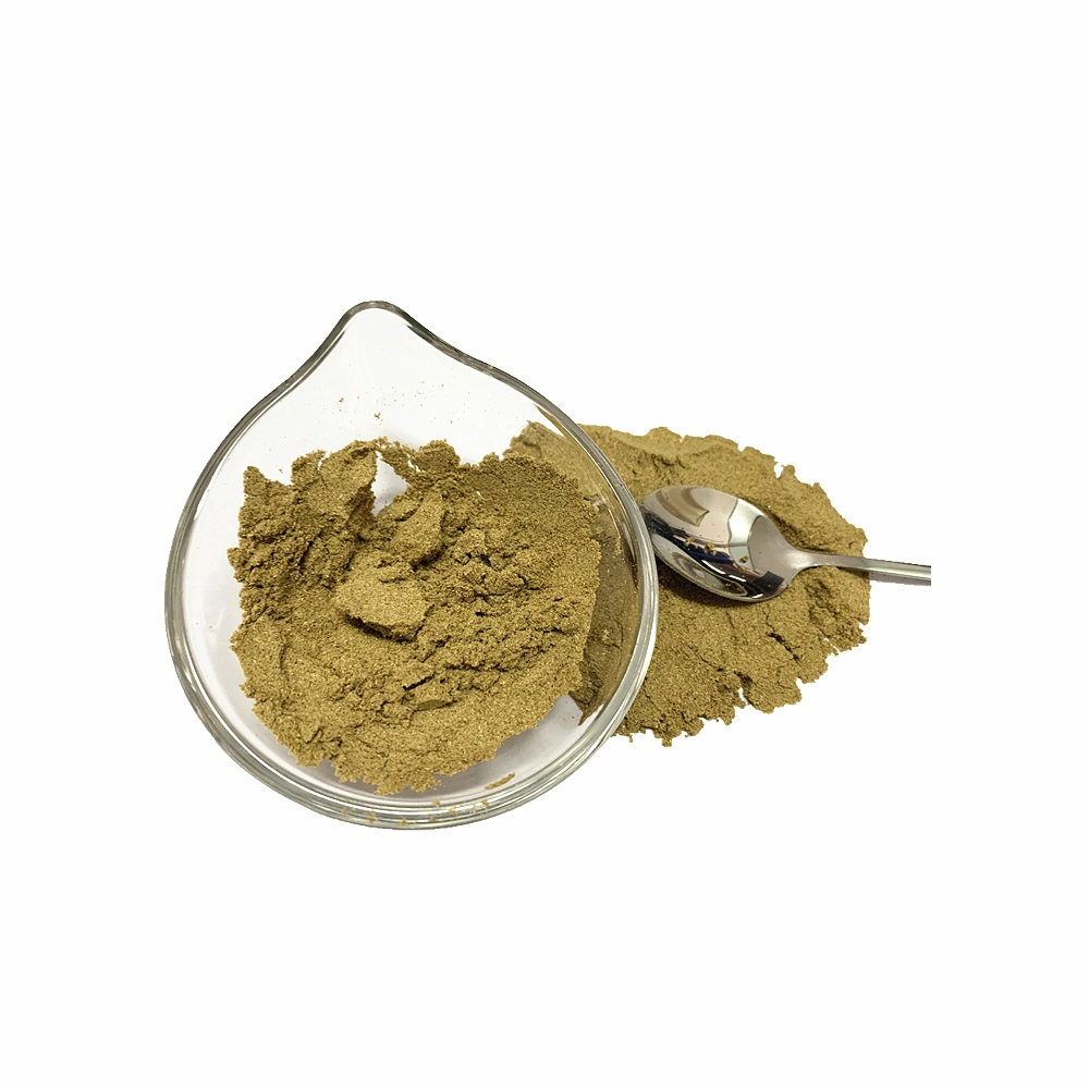 Black Cumin Extract Powder Cumin Seeds Powder