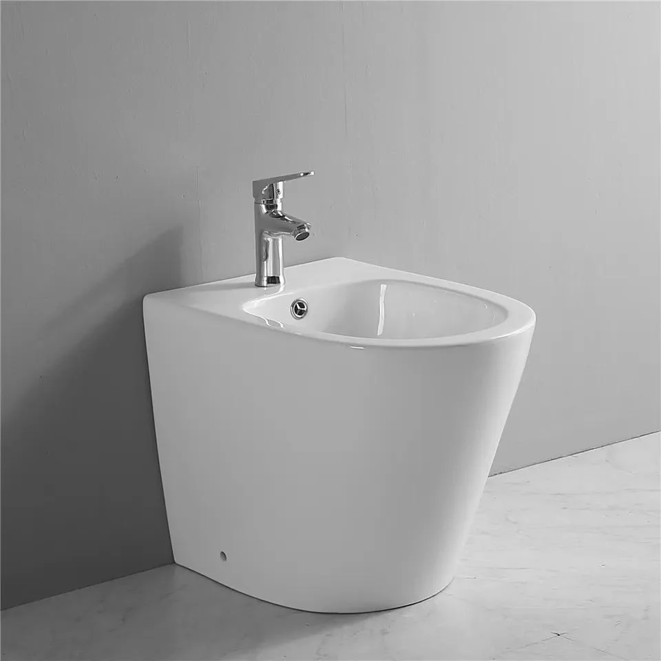 Dos piezas Sanitary Ware Volver a la pared Suelo montado bidet WC completo