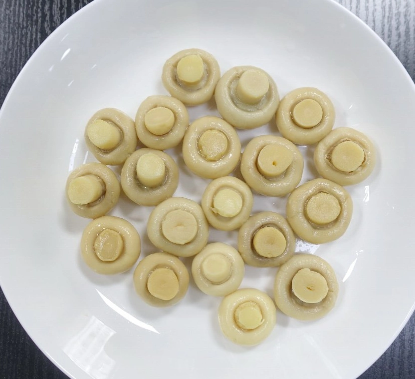 As conservas de cogumelos por alimentar verde toda a comida fresca com preço de fábrica OEM