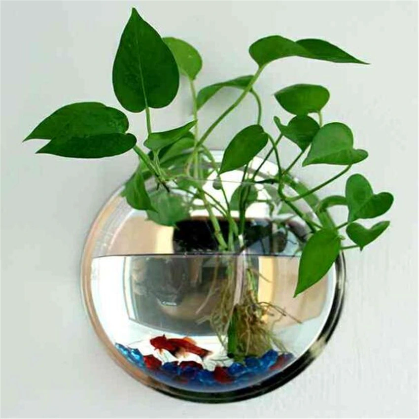 Klare Wand Montiert Fisch Tank Bowl Bubble Aquarium Hängend