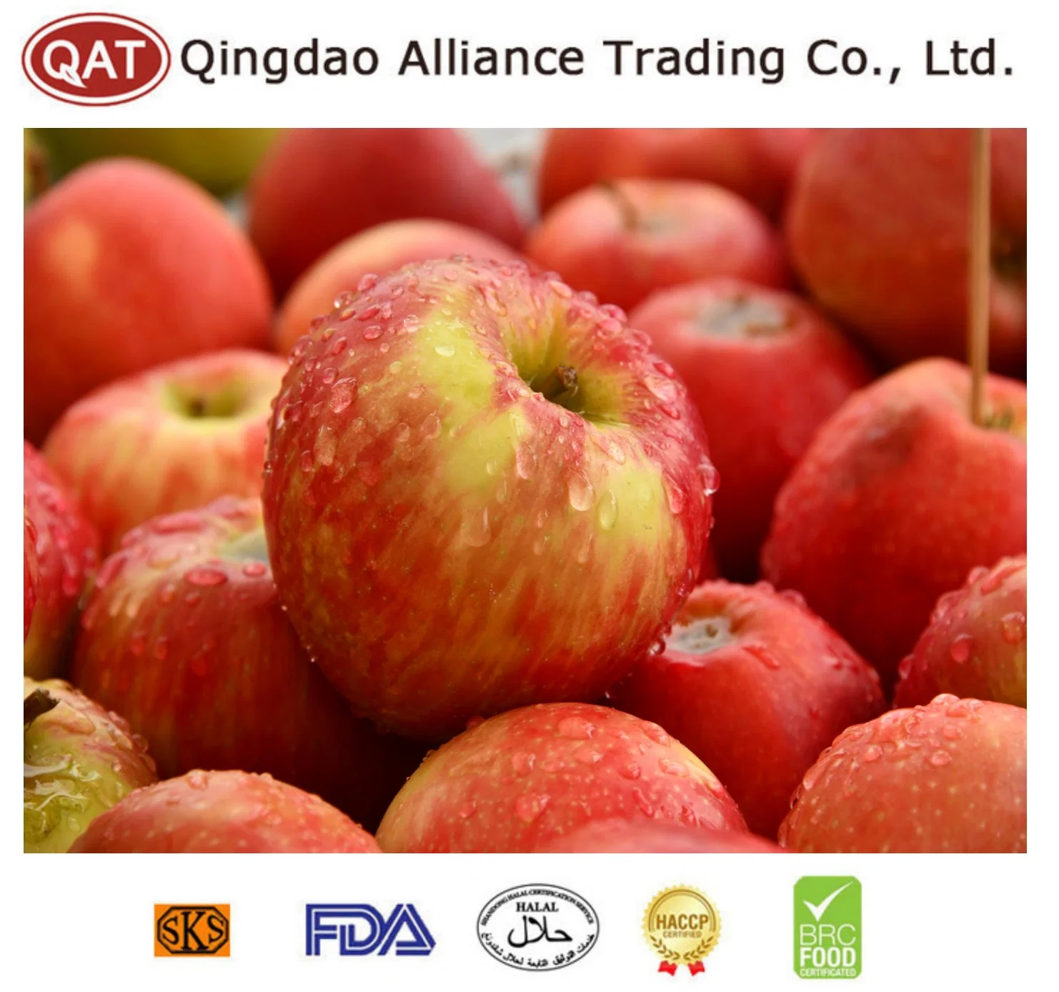 Chinese Factory Exports IQF Fruits Frozen Diced Apple for Exporting with Certificate