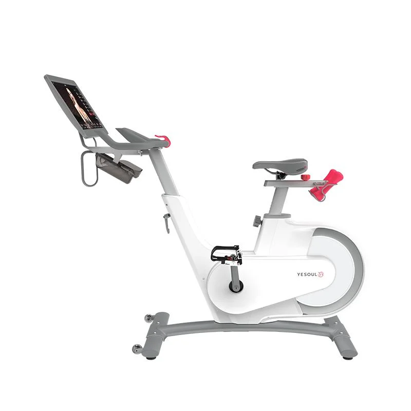 Yesoul Life Fitness Spinning Bike with 0~100 Level Magnetic Resistance