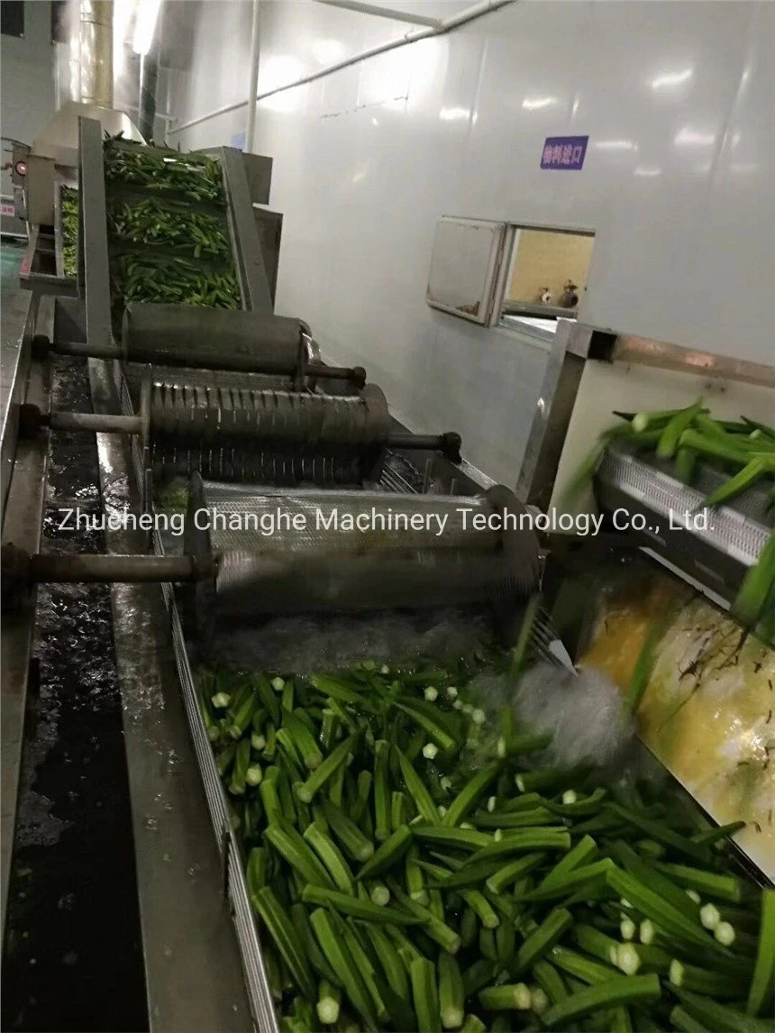 Leaf Vegetable Processing and Cleaning Production Line