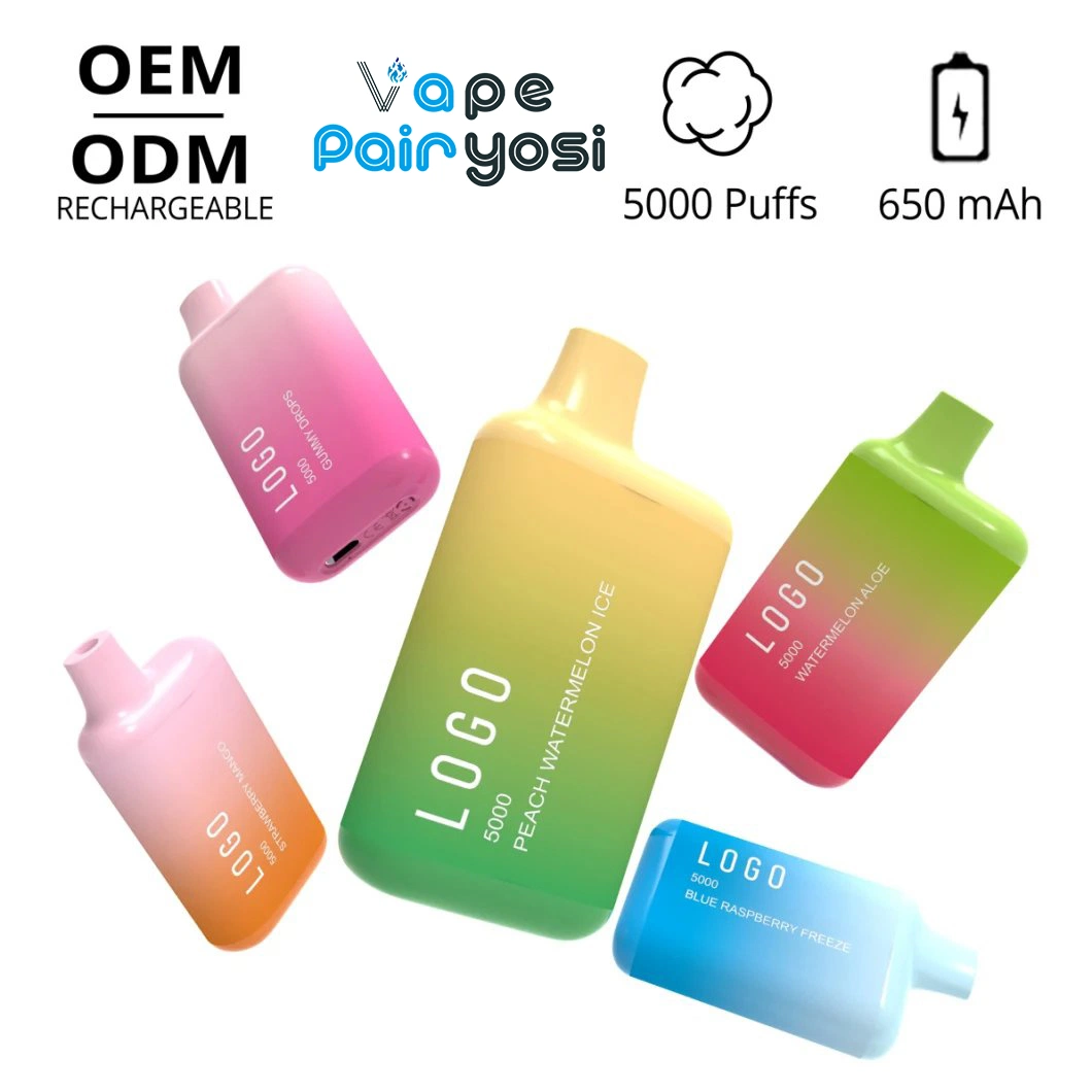 Pairyosi Vape Factory OEM Bc5000 Rechargeable Disposable/Chargeable 5000 Puffs Vape