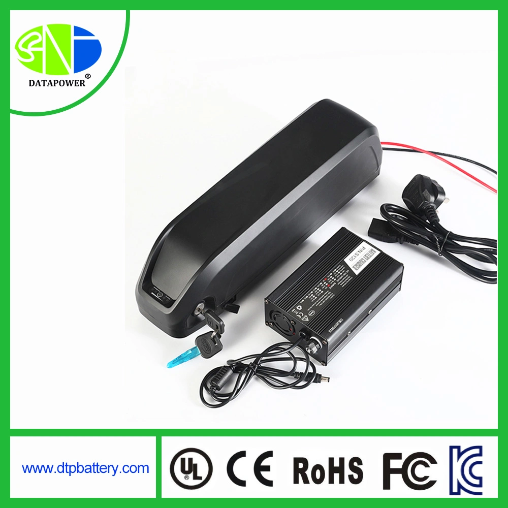 48V High Power Lithium Polymer E-Bike Battery Pack for Scooter