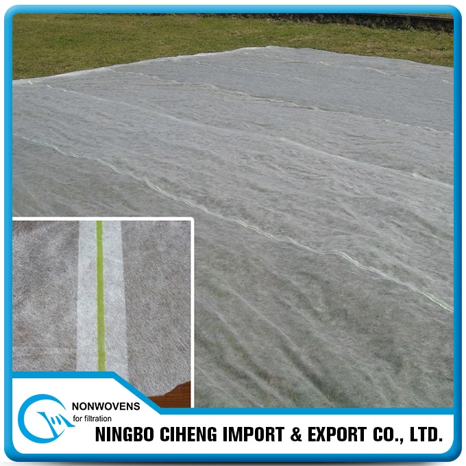 Nonwoven Film Low Cost Agricultural Greenhouse Material for Tomato