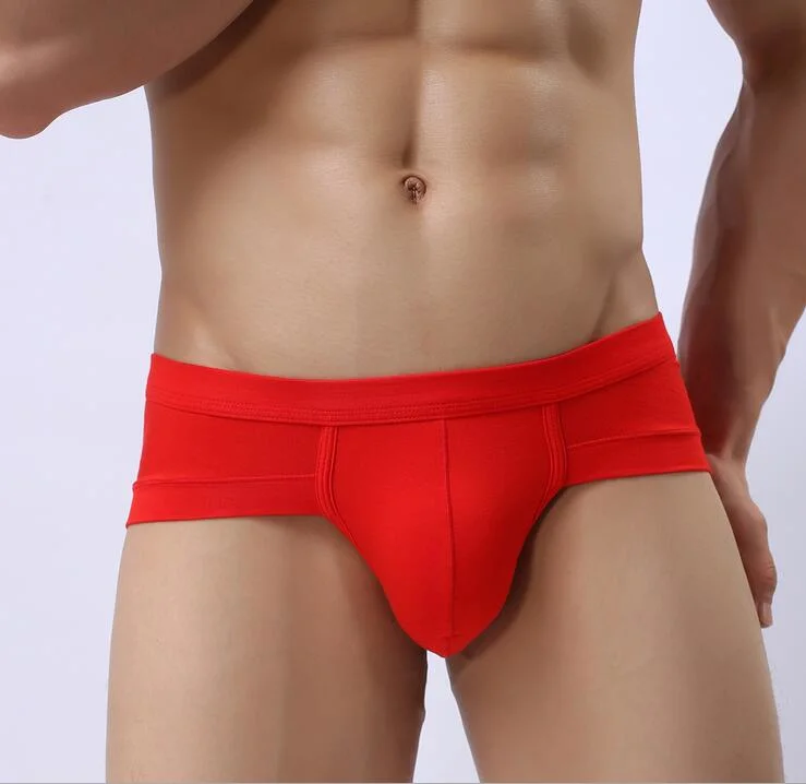 Small Wholesale/Supplier Modal Men Briefs