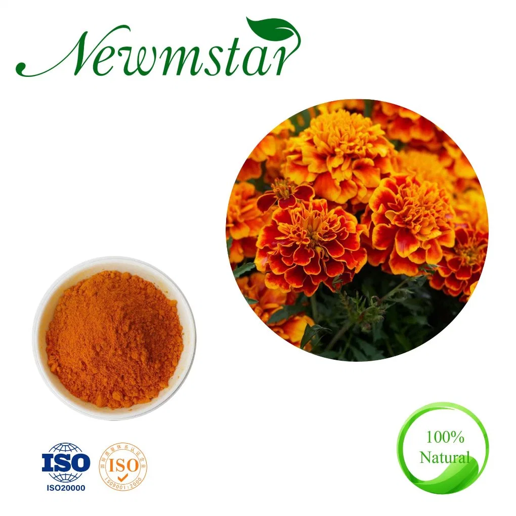 Extracto de Marigold de la hortenería de Lutein polvo de Marigold 5% 10% 20% 50% 80% Zeaxantina y luteína