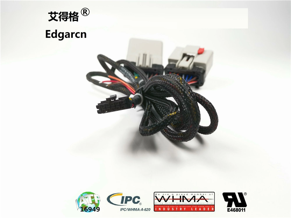 Wire Harness with Delphi Connector&Briad