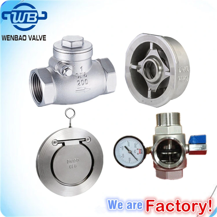 ANSI Low Pressure Female Threaded Stainless Steel Swing Check Valve