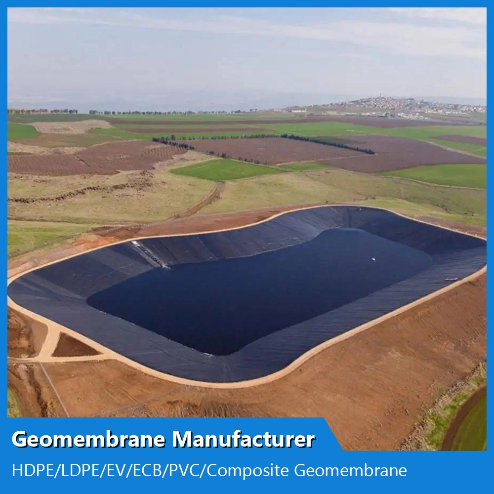 Customized HDPE/LDPE/PE/EV/ECB/PVC Textured/Composite Geomembrane Manufacturer for Aquaculture/Fish Farm/Shrimp/Pond/Dam/Landfill/Mining/Salt/Tailing Liner