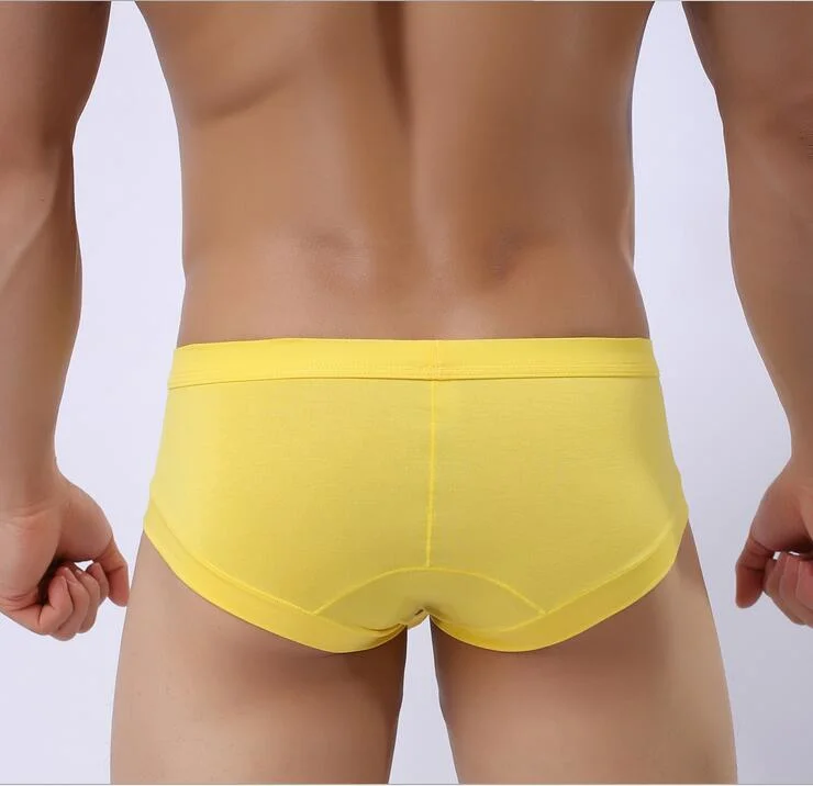 Small Wholesale/Supplier Modal Men Briefs