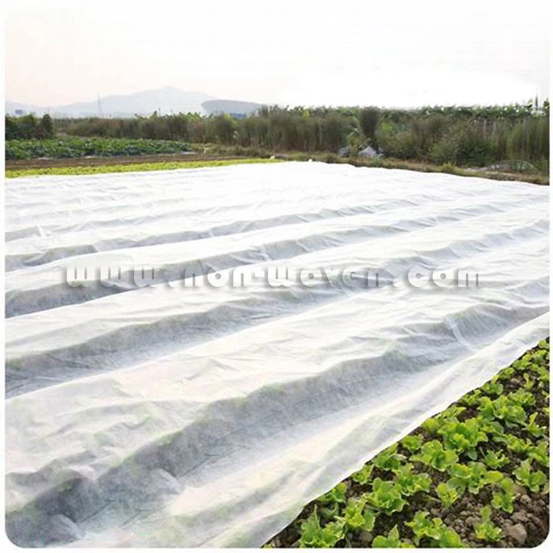 La agricultura del PP Nonwoven Fabric Fabric Bolsa de protección de la fruta de la cubierta de tierra UV Tissu Tisse no suelo agrícola