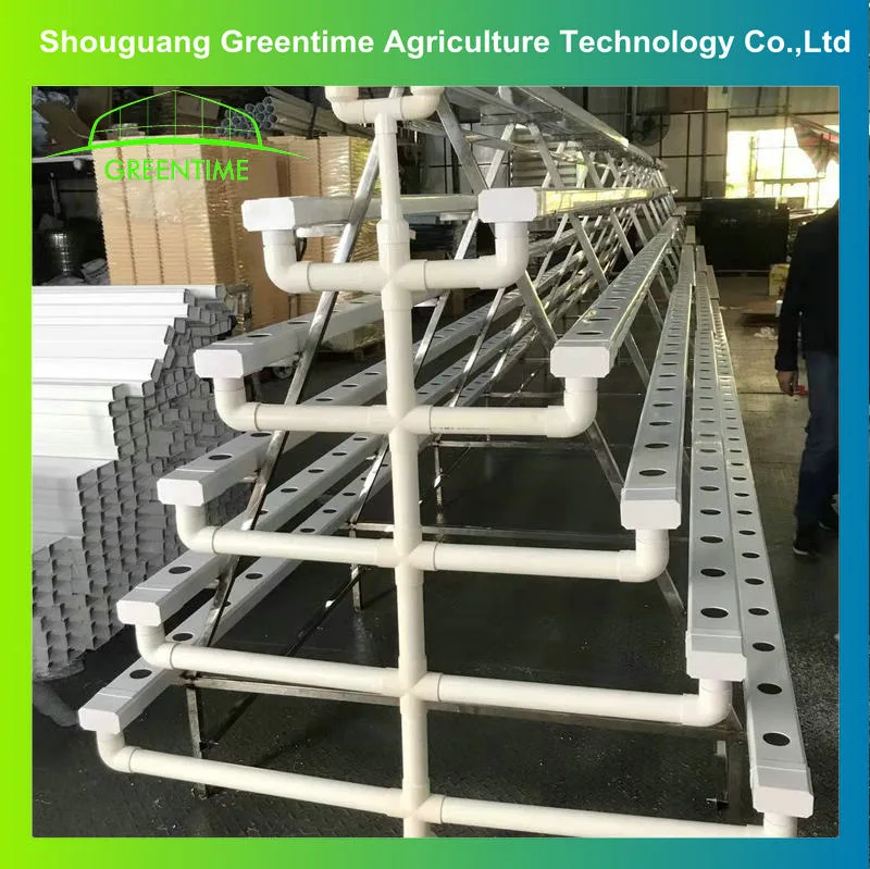 Agriculture Greenhouse Nft Hydroponic Channel Growing System Farming Vegetable for Sale