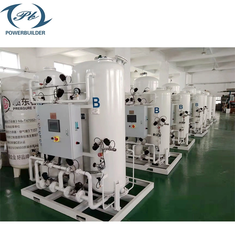 China Supplier Professional Manufacturer N2 Gas Production Equipment Psa Nitrogen Generator for Industrial Use