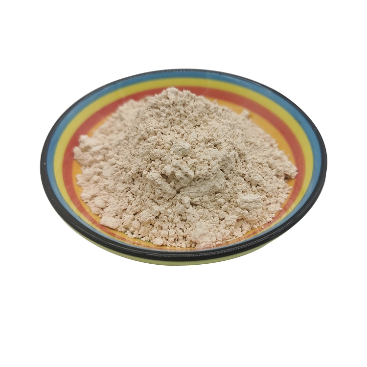 High quality/High cost performance  Diatomite Powder Factory Direct Supply Wholesale/Supplier Price for Construction Use