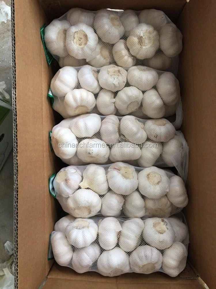 New Crop Pure White Garlic Normal White Garlic Export From China