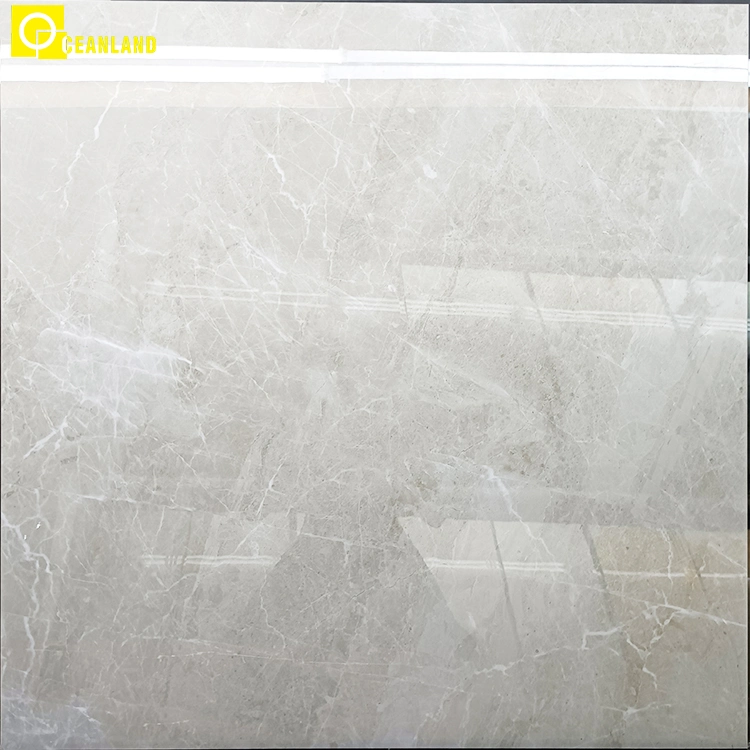 Best Quality Glazed Porcelain Floor Tiles Ceramic of 800X800mm